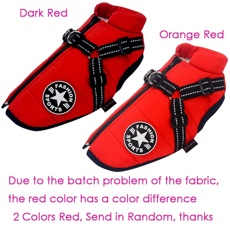 Waterproof Winter Dog Jacket | Billu Pet Boutique