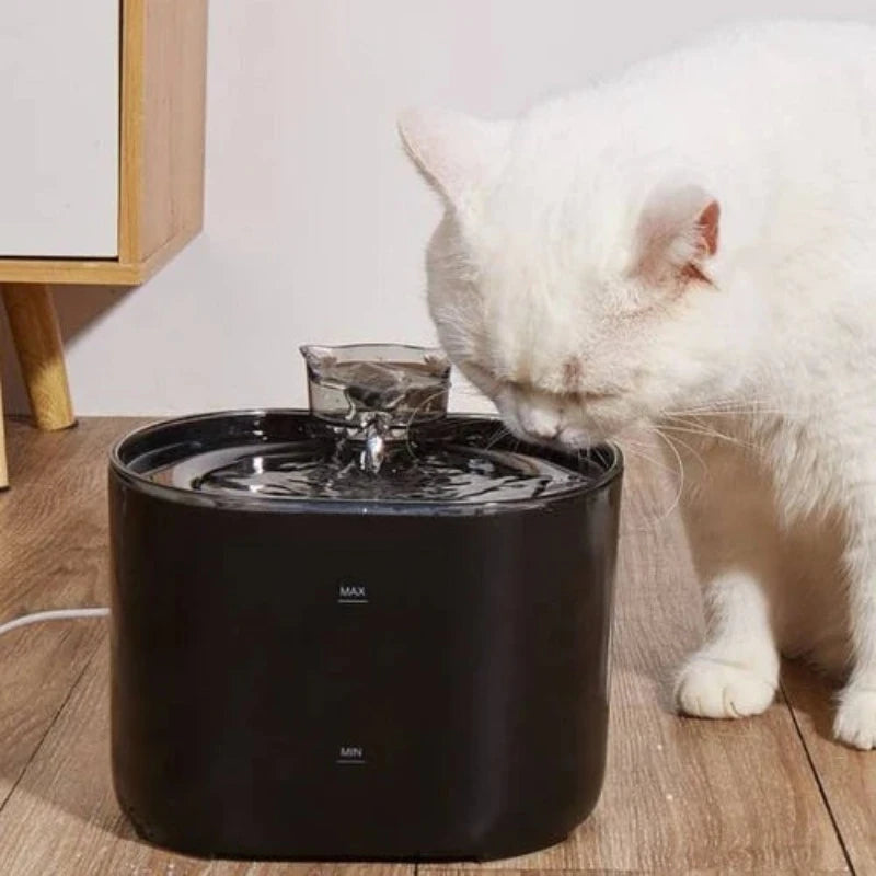 Automatic Cat Water Fountain | Billu Pet Boutique