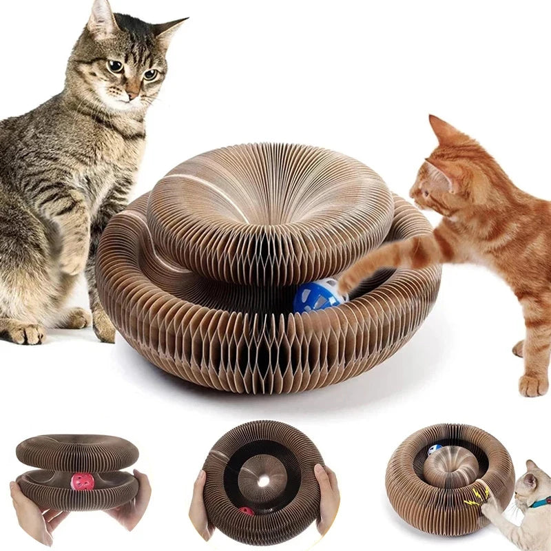 Magic Organ Cat Toy Scratching Board | Billu Pet Boutique