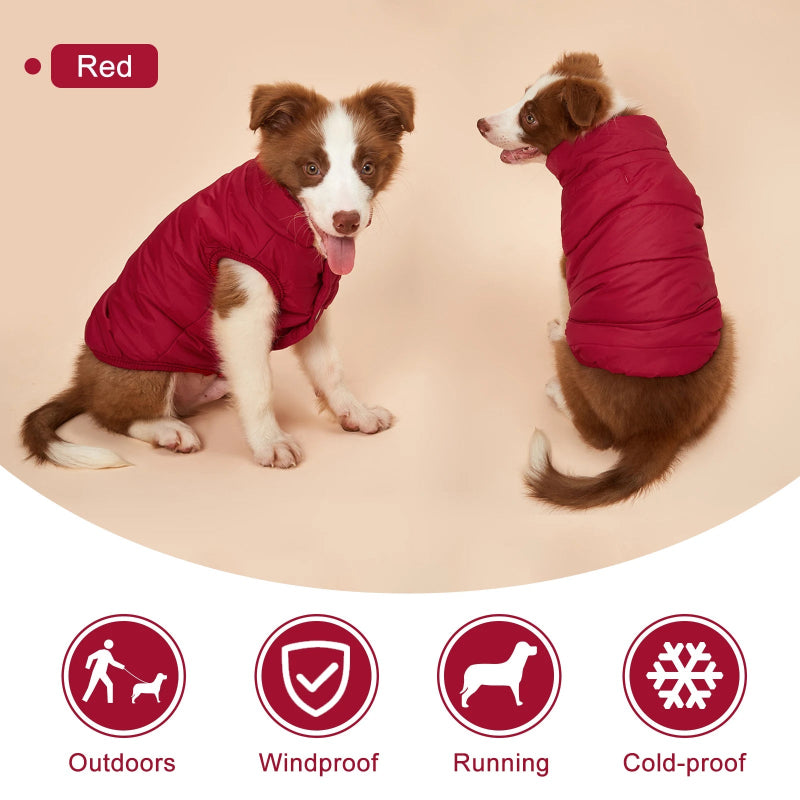 Winter Fleece Dog Jacket | Billu Pet Boutique