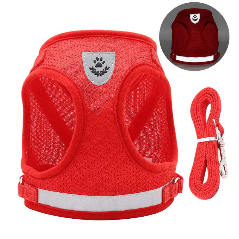Adjustable Cat Harness & Leash - Anti-Escape Vest | Billu Pet Boutique