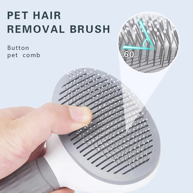 Magic Brush Pet Grooming | Billu Pet Boutique