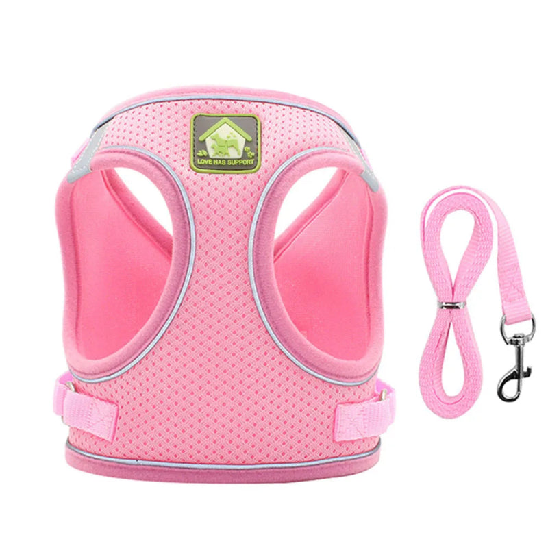 Adjustable Cat Harness & Leash - Anti-Escape Vest | Billu Pet Boutique