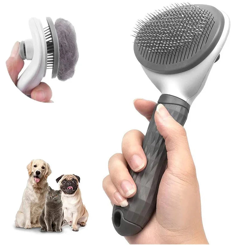 Magic Brush Pet Grooming | Billu Pet Boutique