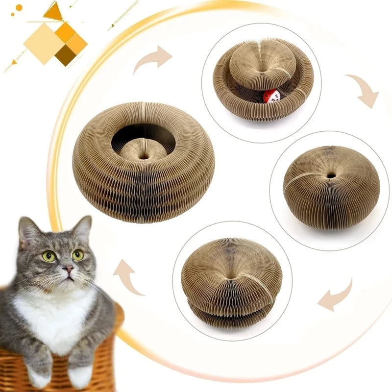 Magic Organ Cat Toy Scratching Board | Billu Pet Boutique