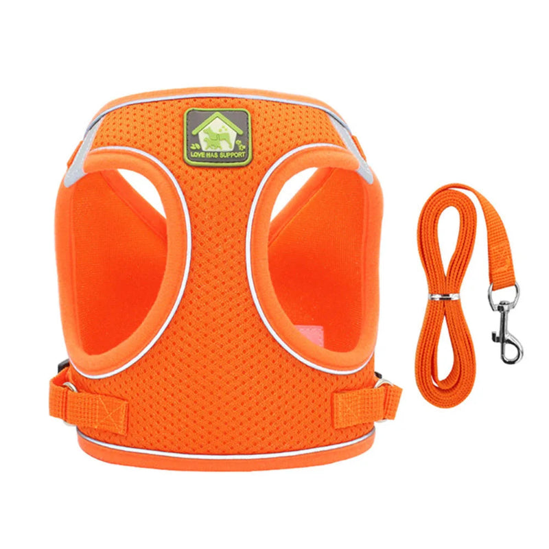 Adjustable Cat Harness & Leash - Anti-Escape Vest | Billu Pet Boutique