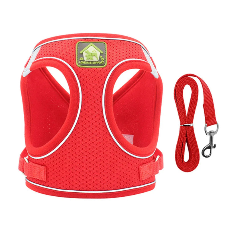 Adjustable Cat Harness & Leash - Anti-Escape Vest | Billu Pet Boutique