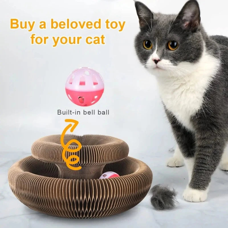 Magic Organ Cat Toy Scratching Board | Billu Pet Boutique