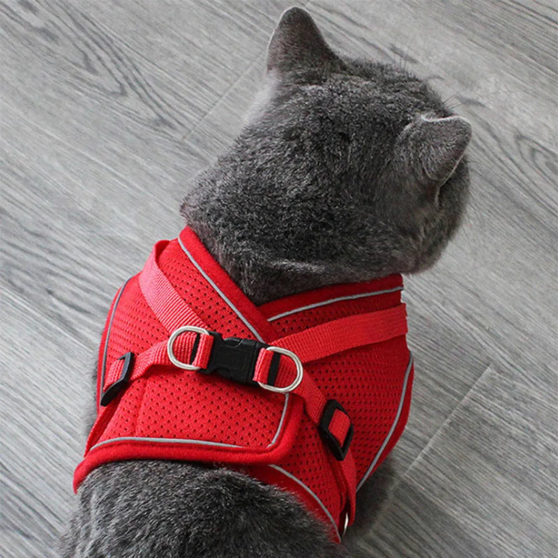 Adjustable Cat Harness & Leash - Anti-Escape Vest | Billu Pet Boutique