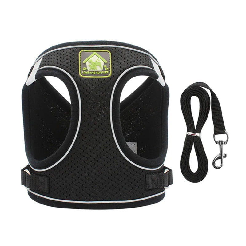 Adjustable Cat Harness & Leash - Anti-Escape Vest | Billu Pet Boutique