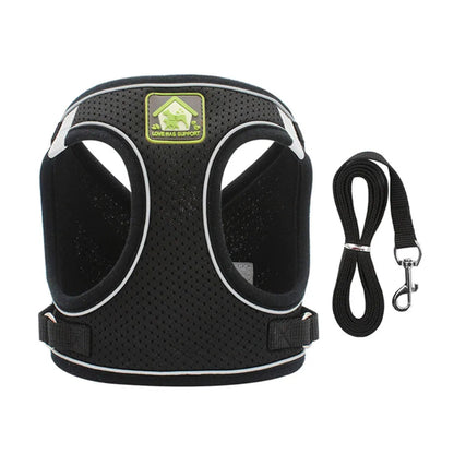 Adjustable Cat Harness & Leash - Anti-Escape Vest | Billu Pet Boutique