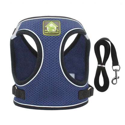 Adjustable Cat Harness & Leash - Anti-Escape Vest | Billu Pet Boutique