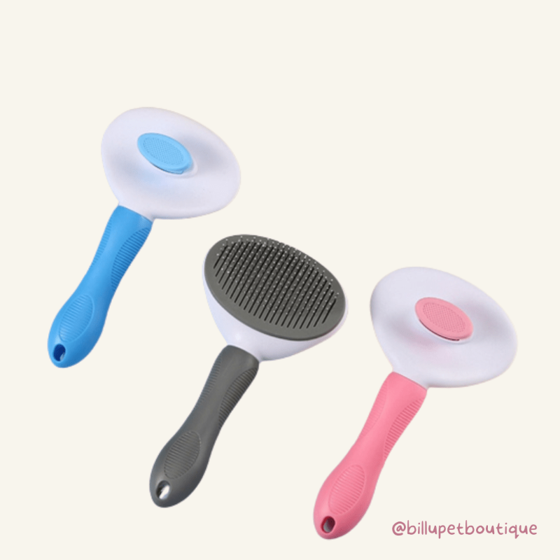 Magic Brush Pet Grooming | Billu Pet Boutique