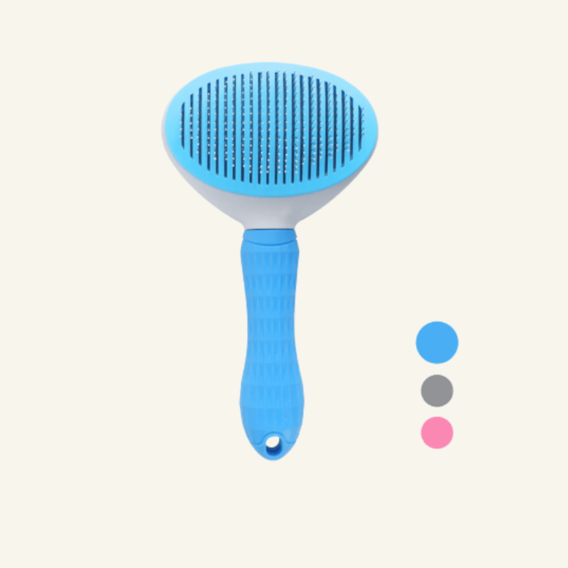 Magic Brush Pet Grooming | Billu Pet Boutique