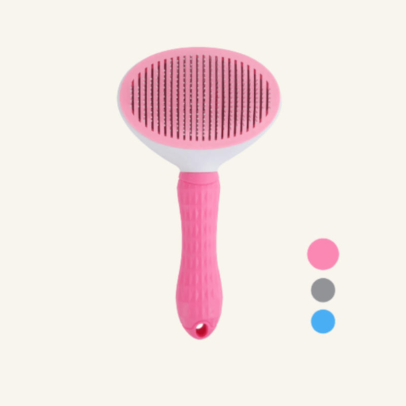 Magic Brush Pet Grooming | Billu Pet Boutique