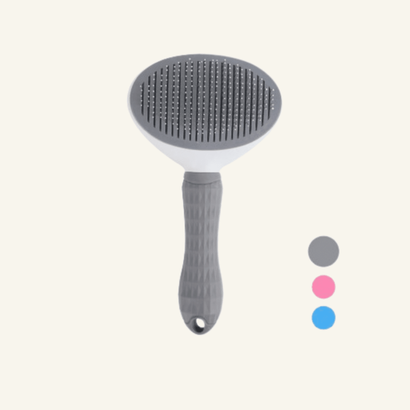 Magic Brush Pet Grooming | Billu Pet Boutique