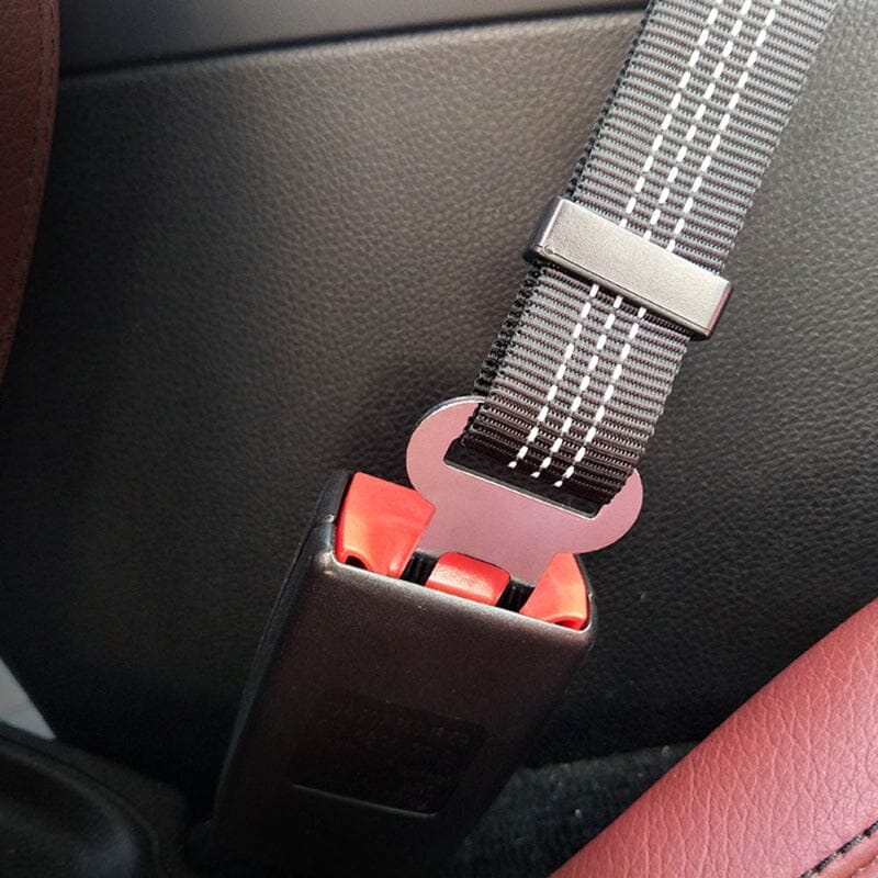 Adjustable Safety Dog Seat Belt | Billu Pet Boutique