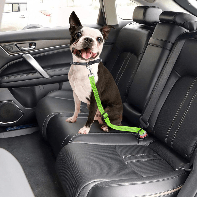 are dog car seat belts safe