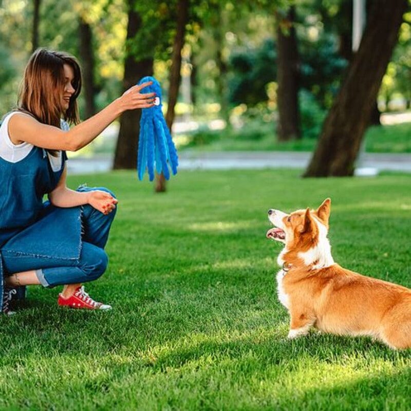  Octopus Dog Toy | Billu Pet Boutique